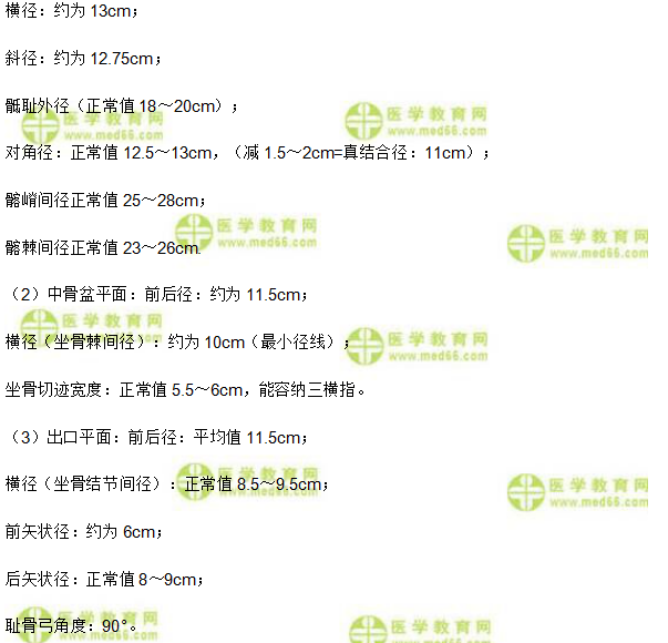 骨盆測量