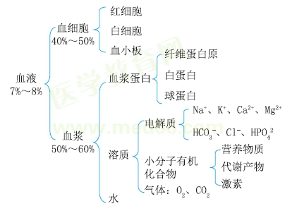 血液的組成 