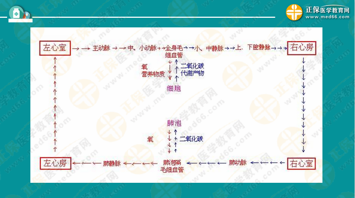 醫(yī)療衛(wèi)生考試筆試備考指導(dǎo)來了，共計(jì)2863頁書！怎么學(xué)？