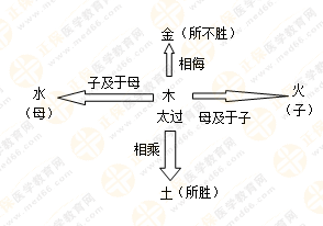 專業(yè)師資帶你學(xué)（五）：執(zhí)業(yè)藥師《中藥綜》五行學(xué)說(shuō)！學(xué)習(xí)要有方法！