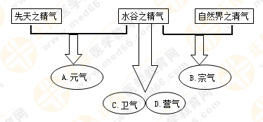 專(zhuān)業(yè)師資帶你學(xué)（八）：執(zhí)業(yè)藥師《中藥綜》生命活動(dòng)的基本物質(zhì)！善用圖解！