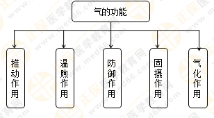 專(zhuān)業(yè)師資帶你學(xué)（八）：執(zhí)業(yè)藥師《中藥綜》生命活動(dòng)的基本物質(zhì)！善用圖解！