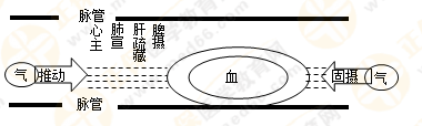 專(zhuān)業(yè)師資帶你學(xué)（八）：執(zhí)業(yè)藥師《中藥綜》生命活動(dòng)的基本物質(zhì)！善用圖解！