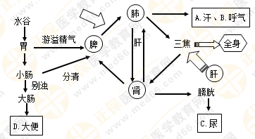 專(zhuān)業(yè)師資帶你學(xué)（八）：執(zhí)業(yè)藥師《中藥綜》生命活動(dòng)的基本物質(zhì)！善用圖解！