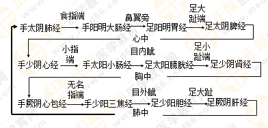 專業(yè)師資帶你學(xué)（九）：執(zhí)業(yè)藥師《中藥綜》經(jīng)絡(luò)與經(jīng)絡(luò)系統(tǒng)！5圖2表！