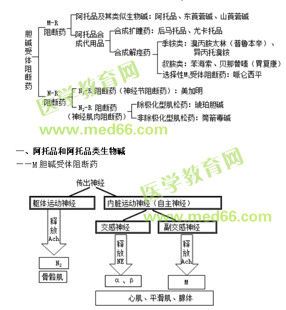 中西醫(yī)結(jié)合助理醫(yī)師精選課