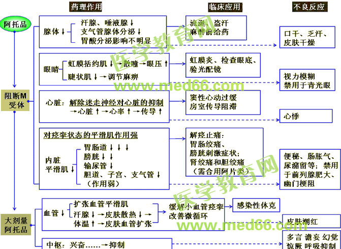 中西醫(yī)結(jié)合助理醫(yī)師精選課