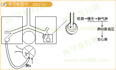 實踐技能輔導(dǎo)精華