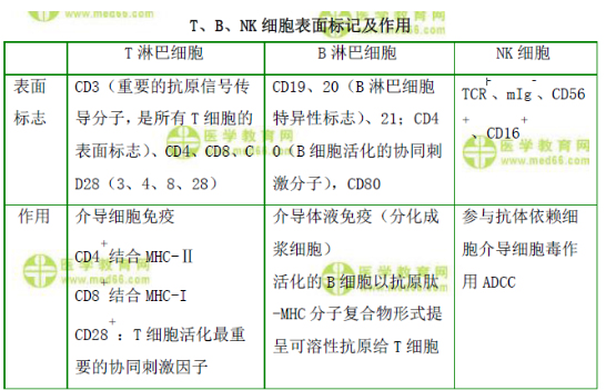 T、B、NK細(xì)胞表面標(biāo)記及作用