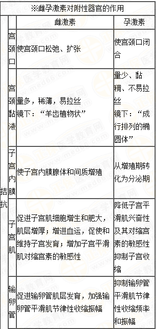 雌、孕激素的生理作用及附性器官的周期性變化