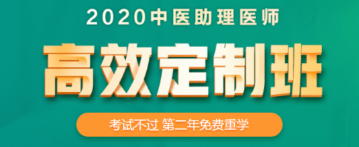 中醫(yī)助理醫(yī)師高效定制班