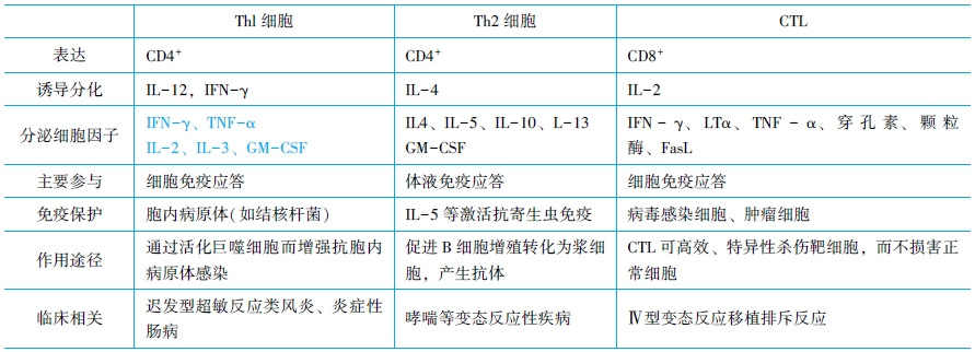 T細胞介導的細胞免疫應(yīng)答