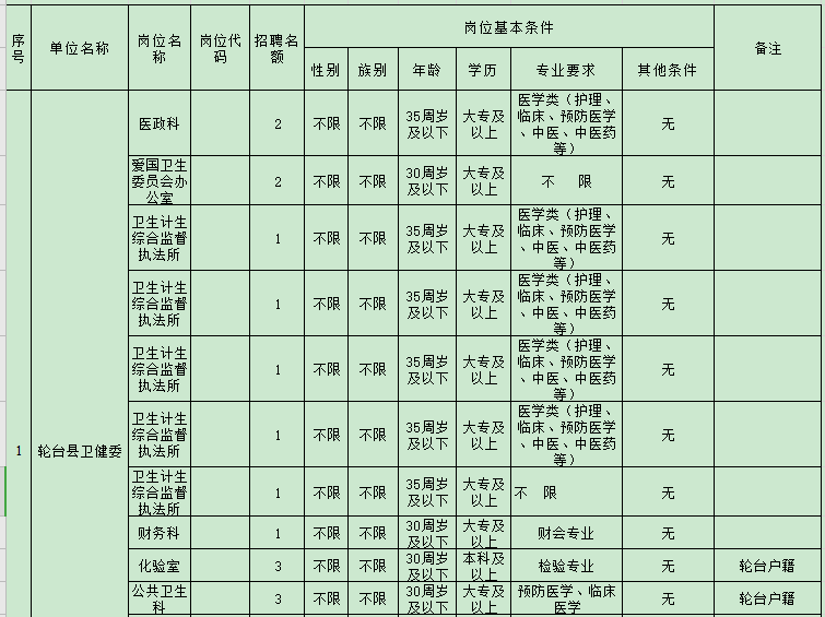 2020年新疆輪臺(tái)縣面向社會(huì)公開招聘編制外工作人員職位表（27人）1