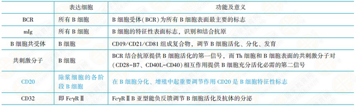 T淋巴細(xì)胞亞群及其功能