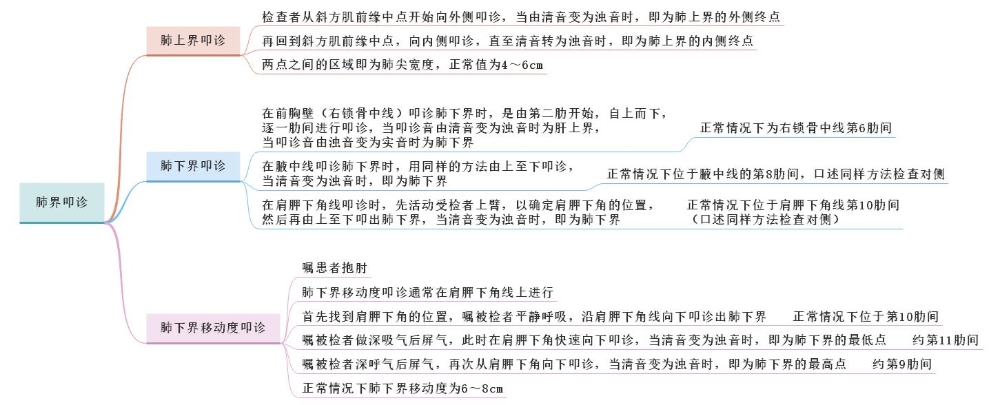 體格檢查——肺界叩診、肺下界移動(dòng)度叩診