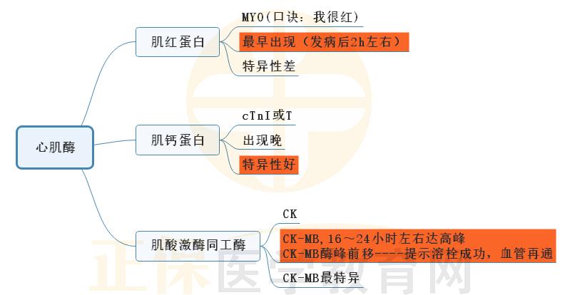 9.心肌梗死心肌酶思維導圖