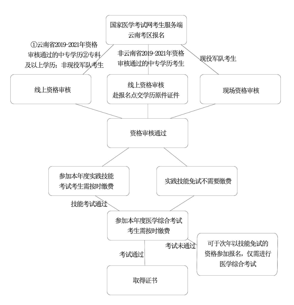 2022年云南省醫(yī)師資格考試資格審核流程圖表