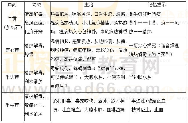 清熱解毒藥之三個(gè)“蓮”一個(gè)“結(jié)石”-2023《中藥二》必學(xué)考點(diǎn)