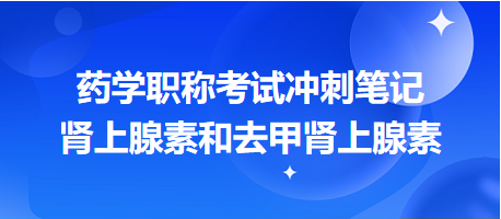 腎上腺素和去甲腎上腺素-2024藥學(xué)職稱(chēng)考試沖刺筆記