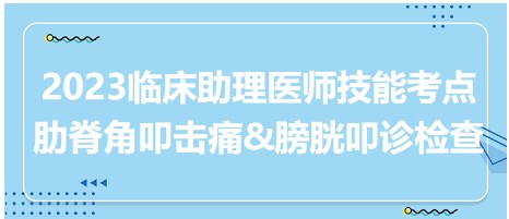 2023臨床助理醫(yī)師技能考點-叩診