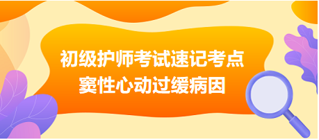 2024初級護(hù)師考試速記考點(diǎn)：竇性心動(dòng)過緩病因