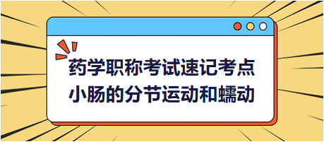 小腸的分節(jié)運(yùn)動(dòng)和蠕動(dòng)-2024藥學(xué)職稱(chēng)考試速記考點(diǎn)