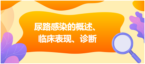 尿路感染的概述、臨床表現、診斷