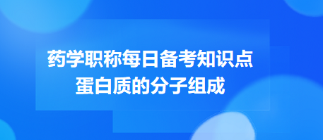 蛋白質的分子組成-2024藥學職稱考試每日備考知識點