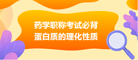 2024藥學職稱考試必背：蛋白質(zhì)的理化性質(zhì)