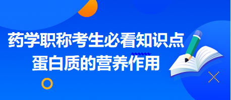 2024藥學(xué)職稱考生必看知識點(diǎn)：蛋白質(zhì)的營養(yǎng)作用