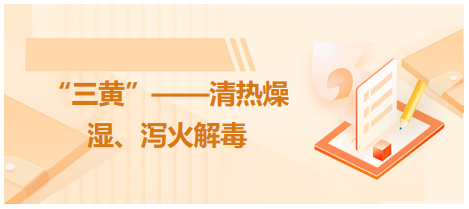 “三黃”——清熱燥濕、瀉火解毒