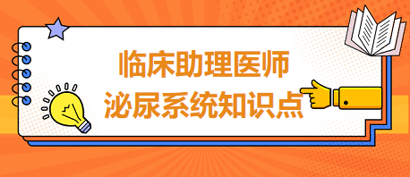 臨床助理醫(yī)師泌尿系統(tǒng)知識點(diǎn)